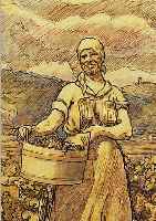 KOCH PETER, 1874-1956, WINZERIN IM WEINBERG, BUNSTSTIFT üBER TUSCH- FEDER, RE. U. SIGN., CA. 16 X 13,5 CM, U.GL., R.