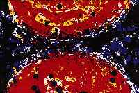FRANCIS, SAM, 1923-1994, ZWEI FARBLITHO- GRAPHIEN, EINE IM STEIN SIGN., JE CA. 39 X 28 CM, PP