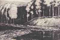 LEISTIKOW, WALTER, 1865-1908, WALDSEE, RADIERUNG, CA. 17,5 X 23 CM, PP