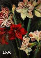 AUER, MAGDA FELICITAS, GEB. 1906, WAR SCHÜLERIN VON A. SCHINNERER, ARTHUR SEGAL UND ANDRE L'HOTE, HIER: AMARYLLIS, ÖL/LWD, LI. U. SIGN., ...