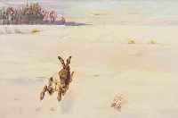 HAHN, DEUTSCHER MALER, 20ER/30ER JAHRE, HASE AUF VERSCHNEITEM FELD, ÖL/MALKARTON, RE. U. SIGN., CA. 31 X 40 CM, R.