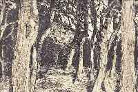 LEISTIKOV, WALTER, 1865-1908, BAUMGRUPPE, RADIERUNG AUS PAN II, CA. 11,5 X 18 CM