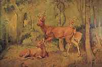 MICHEL O. ä., JAGDMALER ANFANG 20. JH., HIRSCHE UND REHE IM WALD, ÖL/LWD., UNLESERL. SIGN., 70 X 92 CM, R.
