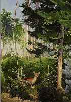 SCHWENDTNER, EDUARD, 1898-1971, REH IM TANNENHAIN, GOUACHE AUF PAPIER, LI. U. SIGN., CA. 44,5 X 35 CM, U.GL., R.
