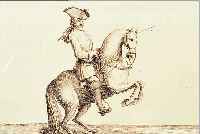 KONVOLUT VON 5 KUPFERSTICHEN MIT PFERDE- DARSTELLUNGEN, AUS EISENBERG BARONN DE LART DE MONTER DEN HAAG GOSSE & NEAULME 1733: 1.) ...