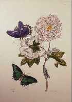 KOLORIERTER KUPFERSTICH, NACH SLUYTER, UM 1830, BLUME MIT SCHMETTERLINGEN UND RAUPE, CA. 37 X 28 CM, U.GL., R.