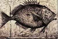 BUFFET, BERNARD, 1928 - 2000, FISCH, RADIERUNG, HANDSIGNIERT UND NUM. 6/75, CA. 49 X 63 CM