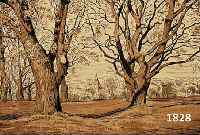 THOMA, HANS, 1839-1924, TAUNUSLANDSCHAFT, LITHOGRAPHIE, IM STEIN MONOGR., CA. 32 X 13 CM, PP