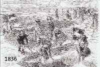 LILIEBERMANN, MAX, 1847-1935, BURGENBAU AM STRAND, LITHOGRAPHIE, CA. 9,5 X 12 CM, PP