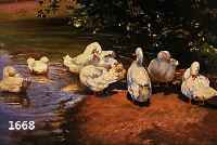 WINKLMAIER, H., WEINHEIMER MALER, DATIERT 1921, ENTEN AUF DEM WEIHER, ÖL/MAL- KARTON, RE. U. SIGN. UND DAT., CA. 65 X 82 CM