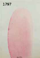 ANATANATOL (ANATOL HERZFELD), GEB. 1931 INTERBURG, GOACHE AUF PAPIER, AUS DER REIHE: ZYKLUS DES LEBENS, MITTIG UNTEN SIGN., CA. 31 X 24,5 CM, PP, ...