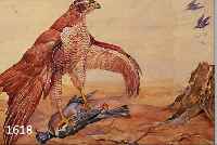DAHLDAHLEM, JOSEF, 1872-1955, RAUBVOGEL MIT ERLEGTER BEUTE, AQUARELL ÜBER BLEISTIFT AUF PAPIER, RÜCKSEITIG MIT NACHLAßSTEMPEL, CA. 42 X 50 CM, ...