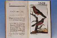 HERRN VON BUFFONS NATURGESCHICHTE DER VöGEL, 8. BAND 1789, AUSGABE WIEN SCHRäUBLE, MIT 47 ALTKOLORIERTEN KUPFERSTICHEN