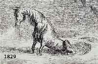 WEBWEBER, A. PAUL, 1893-1980, DAS ENDE, LITHOGRAPHIE, HANDSIGNIERT CA. 32,5 X 45,5 CM