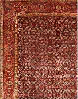 SAROGH MAHAL, PERSIEN, 350 X 268CM, FLOR WOLLE