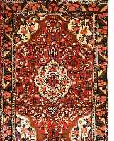 BIDJAR,PERSIEN CA 155 X 100CM. FLOR WOLLE