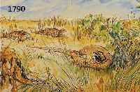DAHDAHLEM, JOSEF, 1872-1955, FASANEN IM FELD, AQUARELL UND TUSCHE, LI. U. SIGN., DAT. 27, CA. 32,5 X 50 CM, PP, U.GL.,R.