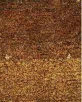 GABBEH,PERSIEN.CA 155 X 139 CM. WOLLE AUF WOLLE.