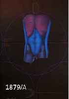 WER HAT ANWER HAT ANGST VOR ROT, GRÜN UND BLAU ? MAPPE MIT VIER ORIGINALGRAFIKEN: OTMAR ALT: FARBSERIGRAPHIE, HANDSIGNIERT UND DAT. 1992, MIT ...