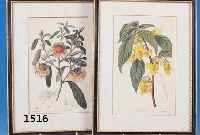 KONVOLUT AUS 8 ALTKOLOR. KUPFERSTICHEN, DT., UM 1810/20, 20.5 X 12.5 CM, U. GL. GER., Z.T. L. GEBRÄUNT