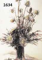 FIEDLEFIEDLER, HERBERT HERRMANN, 1891-1962, LEBTE IN HOLLAND UND PARIS, WAR MIT MAX BECKMANN BEKANNT, HIER: STILLEBEN MIT DISTELN UND BLUMEN IN ...