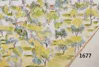 DÖRRIES, BERNHARD, 1898 HANNOVER-1978 BIELEFELD, OBSTGARTEN, AQUARELLIERTE LITHOGRAPHIE, HAND- SIGN. UND DAT. 74, NUM. 75/100, CA. 36 X 48CM, ...