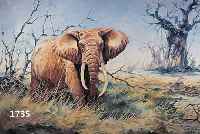 GRAGRANT, DONALD, GEB. 1930, AFRIKANISCHER ELEFANT IN DER SAVANNE, ÖL/LWD, LI. U. SIGN., CA. 65 X 105 CM, R.