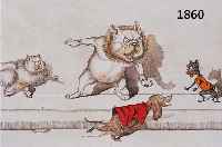 KONVOLUT ZWEI FARBRADIERUNGEN, FRANKREICH, UM 1910, KARIKIIERENDE TIERDARSTELLUNGEN, RE. U. UNLESERLICH SIGN., CA. 17 X 43 CM, U.GL., R.