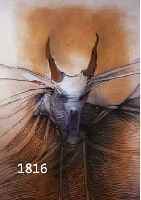 BLANKE, WOLFGANG, "MINOTAUROMACHIE", GOUACHE AUF PAPIER, UNTER GLAS GERAHMT, RE.U. SIGN. U. DAT., MAßE CA. 82X62 CM