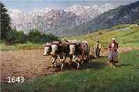 OBERS, L. MÜNCHNER SCHULE, 30ER JAHRE, BAUER UND BÄUERIN MIT OCHSENPFLUG IN ALPEN- LANDSCHAFT, ÖL/LWD., SIGNIERT