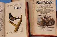 3 BÄNDE BUFFONS NATURGESCHICHTE DER VÖGEL, BERLIN 1794, ZWEITER BAND, ACHTER BAND 1782, ZEHNTER BAND 1784, PAPIER ALTERSBEDING GE- BRÄUNT, ...