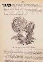 KONVOLUT VON 61 BLATT, MIT HOLSCHNITTEN UND LITHO. VON PFLANZEN- UND BLUMENDARSTELLUNGEN, SOWIE GARTENGERÄTSCHAFTEN, ALLES GUTE BLÄTTER, GR. DER ...