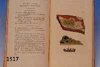 1 BUCH OHNE EINBAND MIT 129 ALTKOLOR. KUPFERSTICHEN, MIT LICHENDARSTELLUNGEN, ALLE IN EINEM SEHR GUTEN ZUSTAND, ENGLISH BOTANY, JAMES SOWERBY F. ...