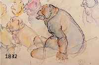 STEIGERWALDT, ERNST, KARIKATUR, MENSCHEN MIT HUNDEKÖPFEN, AQUARELL. BLEISTIFTZEICHNUNG AUF PAPIER, RE. U. SIGNET, CA. 29,5 X 42 CM, PP, U.GL., R.