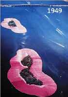 CHRISTO, SURROUNDET ISLANDS, FARBOFFSET, HANDSIGNIERT, CA. 99 X 63 CM
