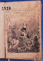 DIE MALERISCHE UND ROMATISCHE RHEIN-PFALZ, 3. AUFLAGE 1856, DURCHGEHEND REICH ILLUS- TRIERT MIT GANZSEITIGEN STAHLSTICHEN, LEICHT GEBRÄUNT, ...