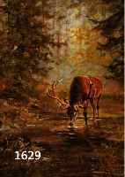 MAJEWITZ, GEORGE, 1897 POLKWITZ-1965 MUNSCHBERG, TRINKENDER HIRSCH IM WALD, ÖL/LWD, LI. U. SIGN., CA. 50 X 40 CM, R.