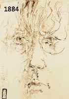 JANSSEN, HORST, 1929-1995, SELBSTBILDNIS, RADIERUNG, HANDSIGN. UND NUM. 6744/10000, DAT. 75, CA. 22 X 16 CM