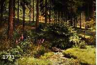 FROMMHOLD, ERNST, LEIPZIG 1879-1955, WALDINTERIEUR MIT BACHLAUF, ÖL/LWD, RE. U. SIGN., CA. 75 X 100 CM, R.