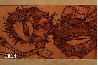 JANSSEN, HORST, 1929-1995, FARBRADIERUNG AUS LIRUM LARUM, HANDSIGNIERT UND NUM. 23/100, CA. 22 X 10 CM, DAT. 84