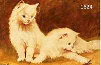 HEYER, ARTHUR, 1872 HAARHAUSEN/WESTF.-1931 STUTTGART, STUDIERTE IN BERLIN UND WIRKTE IN BUDAPEST, BEKANNTER KATZENMALER, HIER: ZWEI WEIßE ...