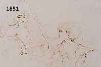 FINI, LEONOR, LESBENGESPRÄCH, RADIERUNG VON 1972, HANDSIGNIERT, CA. 27 X 30 CM, PP
