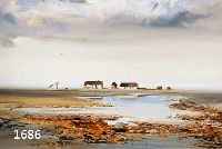 CSAKY, LAJOS, UNGARISCHER, KÜNSTLER, 2. H. 20. JH., ÖL/HARTFASER, WEITE UNGARISCHE LANDSCHAFT MIT EINSAMEM GE- HÖFT U. KLEINEM SEE, SIGN., ...