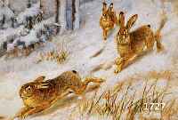 WECZERZICK, ALFRED, 1864 HERISCHDORF-1952 BERLIN, HASEN IM SCHNEE, ÖL/MALKARTON, RE. U. SIGN., RÜCKSEITIG BETITELT: IM JANUAR, CA. 33 X 42 CM, R.