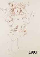 FINI, LEONOR, FARBRADIERUNG, HANDSIGNIERT UND NUM. 71/275, CA. 21 X 30 CM, PP, U.GL., R.