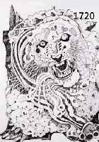KRINNER, MICHAELA, GEB. 1915 WALDMÜNCHEN, MEISTERSCHÜLERIN OSKAR KOKOSCHKAS, HIER: FAUCHENDER TIGER, TUSCHEZEICHNUNG, RE. U. SIGN., DAT. 1984, ...