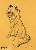 Dill, Otto Prof., 1884 Neustadt-1957 Bad DÜrk- heim, Wolf, Tuschfederzeichnung, re. u. handsign., Papier gebrÄunt, ca. 20 x 14.5 cm, PP., u. Gl. ...