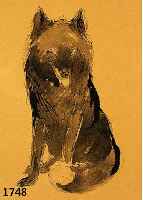 DILL, OTTO, PROF., 1884 NEUSTADT-1957 BAD DÜRKHEIM, SITZENDER WOLF, LAVIERTE TUSCHE- ZEICHNUNG, PAPIER GEBRÄUNT, CA. 20 X 14.5 CM, U. GL. GER.