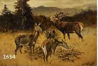 LINK, WILHELM, 1877 KARLSRUHE-1959 PFORZHEIM, ÖL/HARFASER, ROTWILD AUF LICHTUNG, SIGN., 50X60 CM, R.