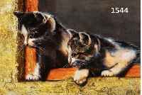 BENK, EDE, 20. JH., ZWEI KATZEN AM FENSTER, SIGNIERT, ÖL/HOLZ, 30 X 40 CM, RAHMEN REST.